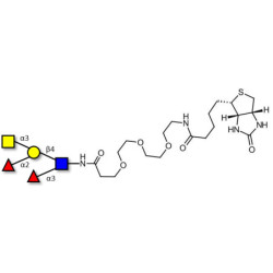 Blood group A Lewis y antigen pentaose type 2 linked to biotin (Linker-BT G)