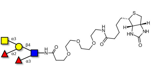Blood group A Lewis y antigen pentaose type 2 linked to biotin (Linker-BT G)