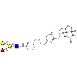 Blood group B antigen tetraose type 1 linked to biotin (Linker-BT G)
