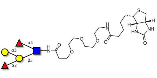 Blood group B Lewis b antigen pentaose type 1 linked to biotin (Linker-BT G)