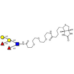 Blood group B Lewis y antigen pentaose type 2 linked to biotin (Linker-BT G)