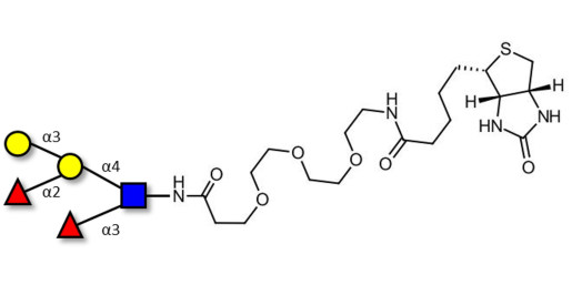 Blood group B Lewis y antigen pentaose type 2 linked to biotin (Linker-BT G)