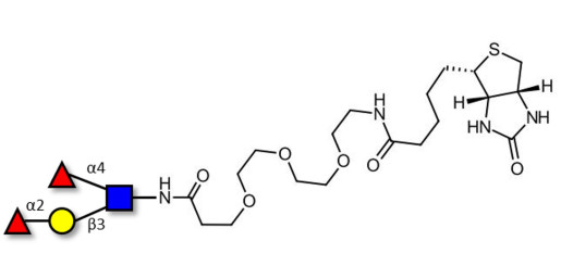 Lewis b (Leb) tetraose linked to biotin (Linker-BT G) - Lewis B tetrasaccharide ; LBT