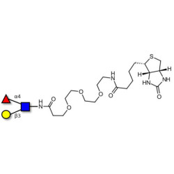 Lewis a (Lea) triose linked to biotin (Linker-BT G)