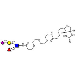 Sialyl Lewis x (sLex) tetraose linked to biotin (Linker-BT G)
