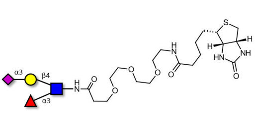 Sialyl Lewis x (sLex) tetraose linked to biotin (Linker-BT G) - 3'-Sialyl Lewis X