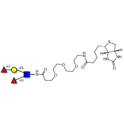 Lewis y (Ley) tetraose linked to biotin (Linker-BT G)