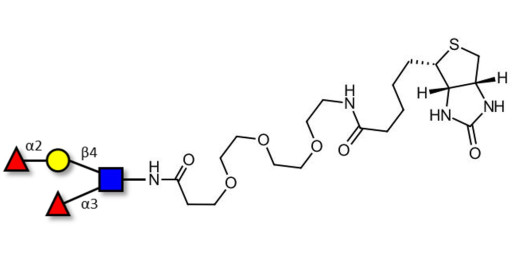 Lewis y (Ley) tetraose linked to biotin (Linker-BT G) - Lewis Y tetrasaccharide