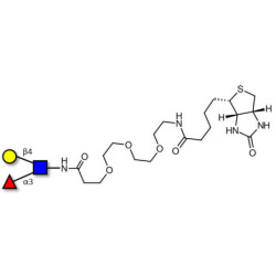 Lewis x (Lex) triose linked to biotin (Linker-BT G)
