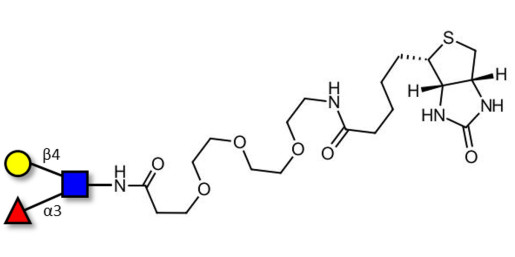 Lewis x (Lex) triose linked to biotin (Linker-BT G) - SSEA-1 ; CD15 ; Lewis X trisaccharide