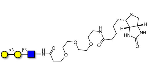 Xeno antigen type 1 / Blood group B antigen triose type 1 linear linked to biotin (Linker-BT G)
