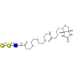 Xeno antigen type 2 / Galili antigen triose / Blood group B antigen triose type 2 linear linked to biotin (Linker-BT G)