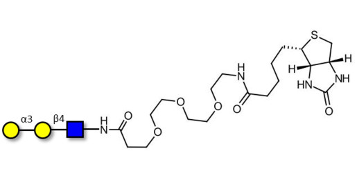 Xeno antigen type 2 / Galili antigen triose / Blood group B antigen triose type 2 linear linked to biotin (Linker-BT G) - Galα -3 epitope ; Linear B-2 trisaccharide