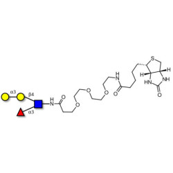 Xeno lewis x / α-Gal-Lewis x  linked to biotin (Linker-BT G)