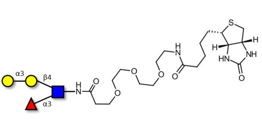 Xeno lewis x / α-Gal-Lewis x  linked to biotin (Linker-BT G)