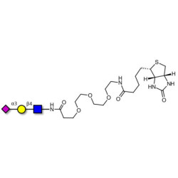 3'-α-sialyl-Acetyl-Lactosamine (3'SIA-LN) linked to biotin (Linker-BT G)
