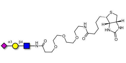 3'-α-sialyl-Acetyl-Lactosamine (3'SIA-LN) linked to biotin (Linker-BT G) - Sialylated triose type 2 (sLex precursor)