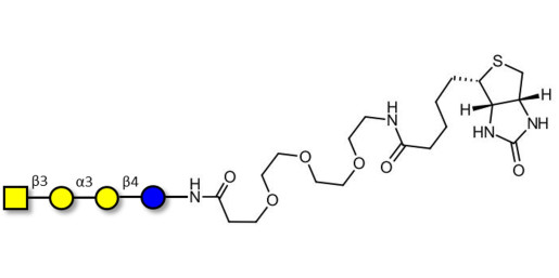 Isoglobotetraose (iGb4) linked to biotin (Linker-BT G) - Cytolipin R; Globoisotetraose