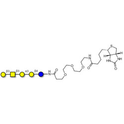Isoglobopentaose (iGb5) linked to biotin (Linker-BT G)