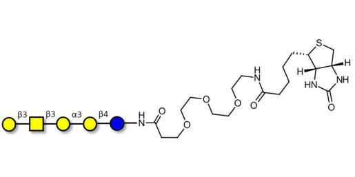 Isoglobopentaose (iGb5) linked to biotin (Linker-BT G) - Globoisopentaose