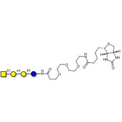 Globotetraose (Gb4) linked to biotin (Linker-BT G)