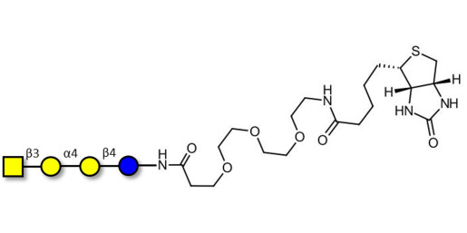 Globotetraose (Gb4) linked to biotin (Linker-BT G) - P antigen ; Globo-N-Tetraose