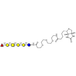 Globo-H hexaose / Stage Specific Embryonic Antigen 3b (SSEA-3b) linked to biotin (Linker-BT G)