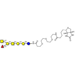 Globo-A heptaose linked to biotin (Linker-BT G)