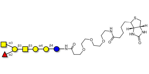 Globo-A heptaose linked to biotin (Linker-BT G)