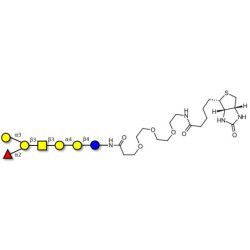 Globo-B heptaose linked to biotin (Linker-BT G)