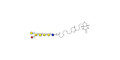 Globo-B heptaose linked to biotin (Linker-BT G)