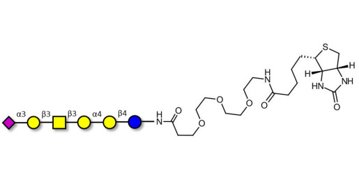 Stage-Specific Embryonic Antigen-4 hexaose (SSEA-4 hexaose) linked to biotin (Linker-BT G) - SSEA-4