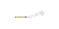 Stage-Specific Embryonic Antigen-4 hexaose (SSEA-4 hexaose) linked to biotin (Linker-BT G) - SSEA-4