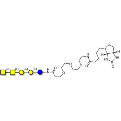 Forssman antigen pentaose linked to biotin (Linker-BT G)