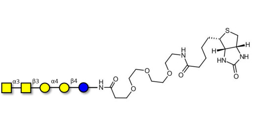 Forssman antigen pentaose linked to biotin (Linker-BT G)