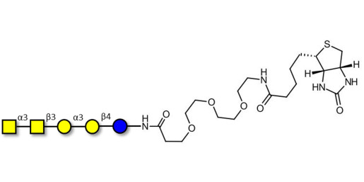 Isoforssman antigen pentaose linked to biotin (Linker-BT G)