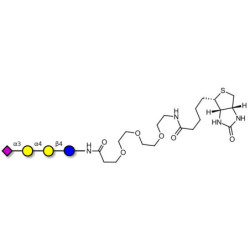 Sialylated globotriose linked to biotin (Linker-BT G)