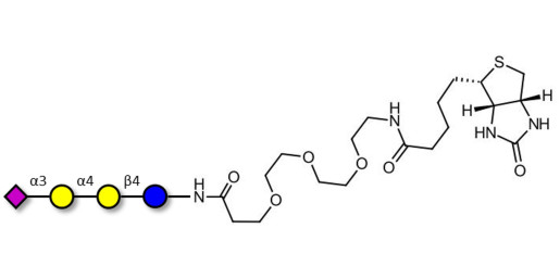 Sialylated globotriose linked to biotin (Linker-BT G) - 3Sialyl-Gb3