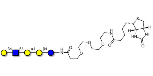 Globopentaose (Gb5) analogue type 2 linked to biotin (Linker-BT G) - Gb5 analogue type 2