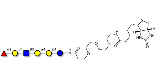 Globo-H analogue type 2 linked to biotin (Linker-BT G)