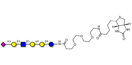 Stage-Specific Embryonic Antigen-4 (SSEA-4) hexaose analogue type 1 linked to biotin (Linker-BT G) - SSEA-4 hexaose analogue type 1
