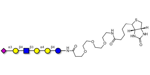 Stage-Specific Embryonic Antigen-4 (SSEA-4) hexaose analogue type 2 linked to biotin (Linker-BT G) - SSEA-4 hexaose analogue type 2