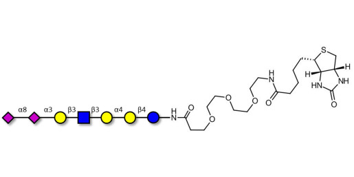 Sialylated Stage-Specific Embryonic Antigen-4 (SSEA-4) hexaose analogue type 1 linked to biotin (Linker-BT G) - Sialylated-SSEA-4 hexaose analogue type 1