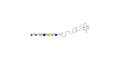 Sialylated Stage-Specific Embryonic Antigen-4 (SSEA-4) hexaose analogue type 1 linked to biotin (Linker-BT G) - Sialylated-SSEA-4 hexaose analogue type 1