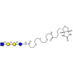 Isoglobotetraose (iGb4) analogue linked to biotin (Linker-BT G)