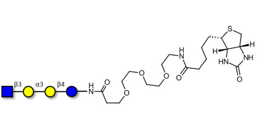 Isoglobotetraose (iGb4) analogue linked to biotin (Linker-BT G) - iGb4 analogue