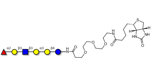 Isoglobo-H analogue type 1 linked to biotin (Linker-BT G)