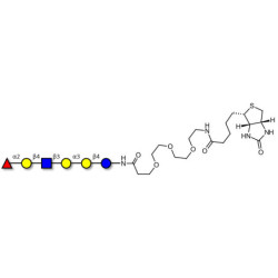 Isoglobo-H analogue type 2 linked to biotin (Linker-BT G)