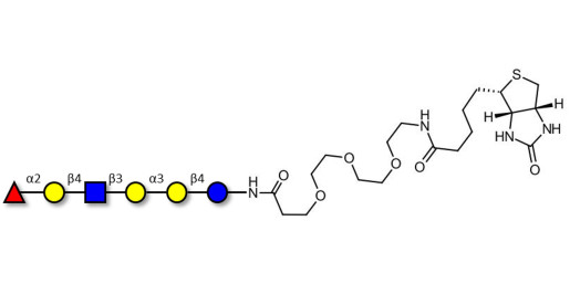 Isoglobo-H analogue type 2 linked to biotin (Linker-BT G)