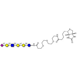 Sialylated isoglobopentaose (Sialylated iGb5) analogue type 1 linked to biotin (Linker-BT G)